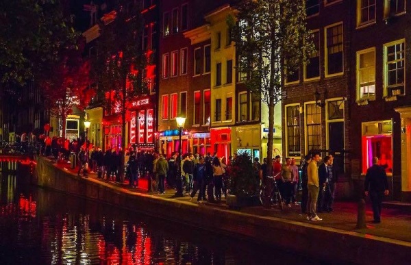 Amsterdam Shemale Guide - Transex Info - A Wordwide Shemale Guide